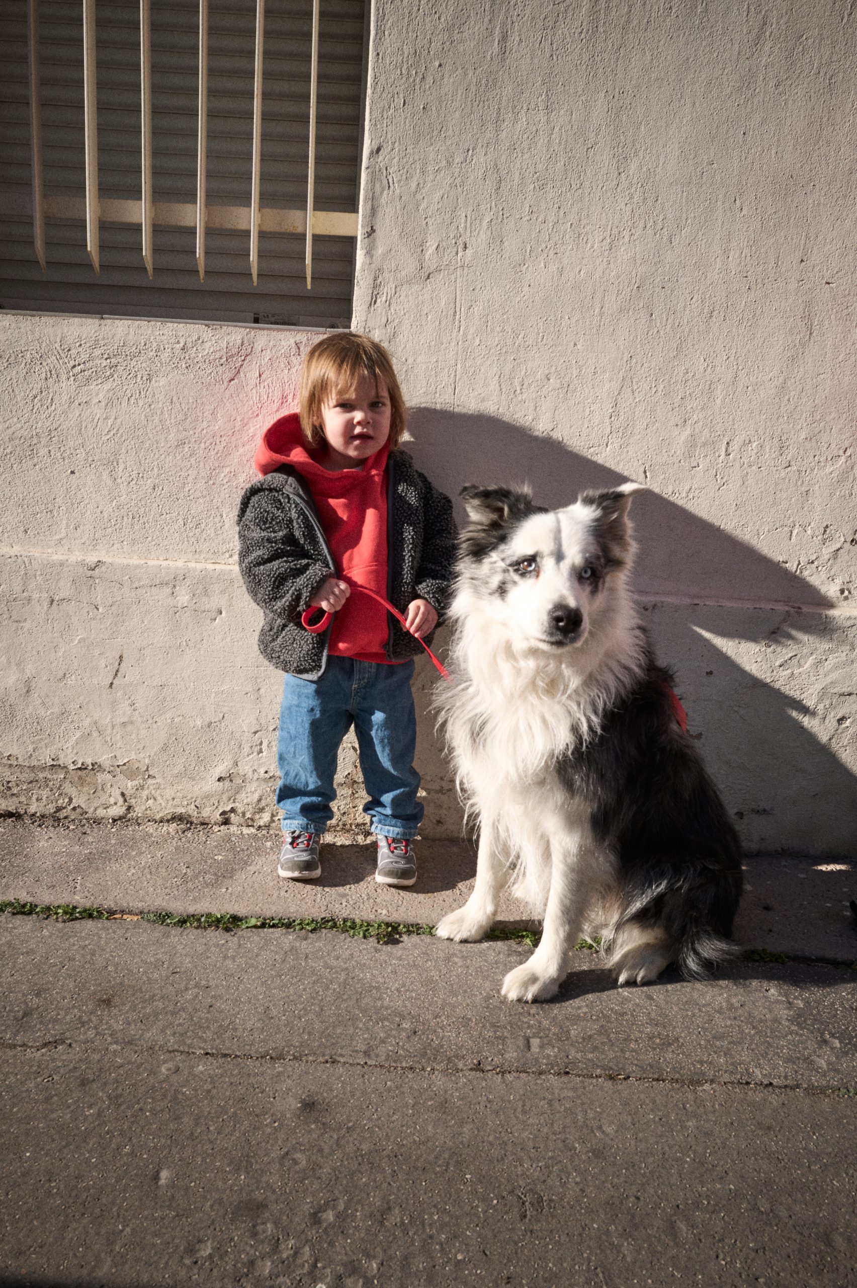 Back to (sch)cool : une rentrée avec nos doggys